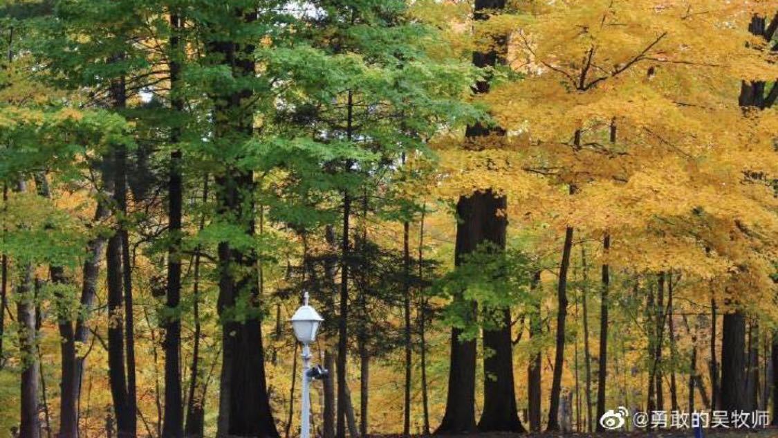 近期微博推广专业化打造您的企业中台,高效触达目标用户,抖音低价涨赞业务：优质内容创作与付费推广实用指南